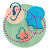 Ear, Nose & Throat